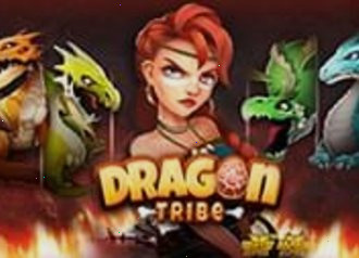 Dragon Tribe NL
